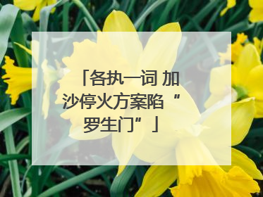 各执一词 加沙停火方案陷“罗生门”