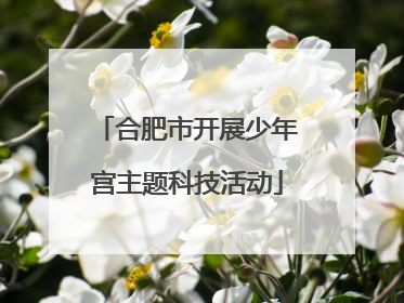 合肥市开展少年宫主题科技活动