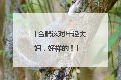 合肥这对年轻夫妇，好样的！