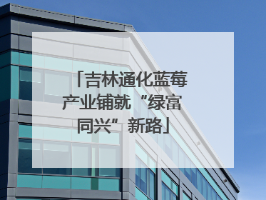 吉林通化蓝莓产业铺就“绿富同兴”新路