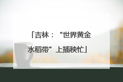 吉林：“世界黄金水稻带”上插秧忙