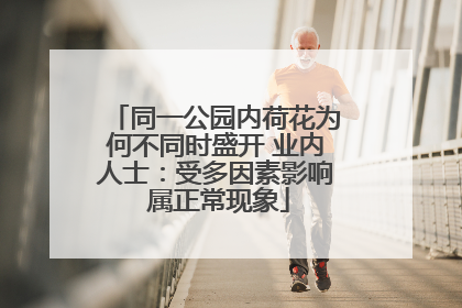 同一公园内荷花为何不同时盛开 业内人士：受多因素影响 属正常现象