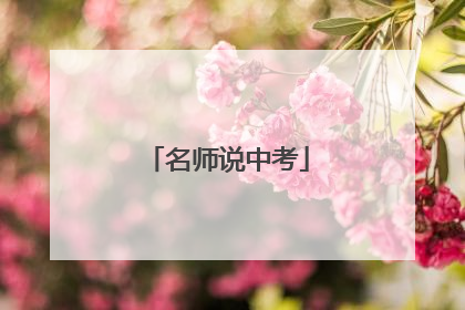 名师说中考