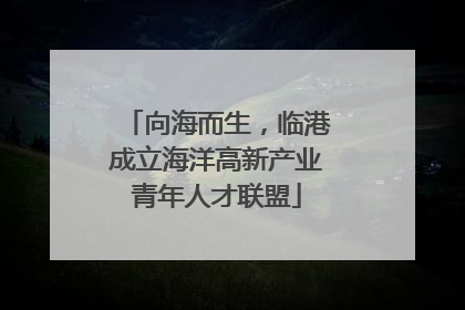 向海而生，临港成立海洋高新产业青年人才联盟