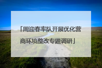周迎春率队开展优化营商环境整改专题调研
