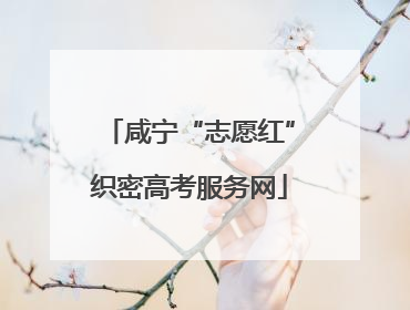 咸宁“志愿红”织密高考服务网