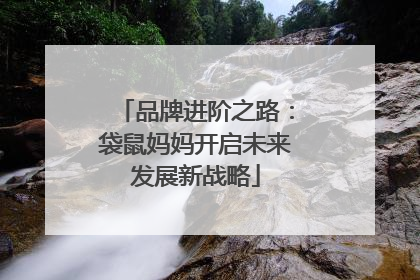 品牌进阶之路：袋鼠妈妈开启未来发展新战略