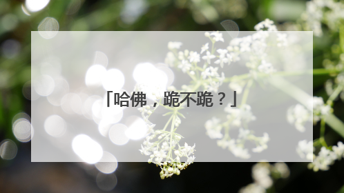 哈佛，跪不跪？