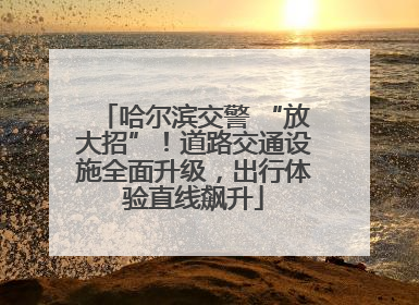 哈尔滨交警 “放大招”！道路交通设施全面升级，出行体验直线飙升