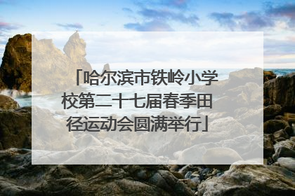 哈尔滨市铁岭小学校第二十七届春季田径运动会圆满举行