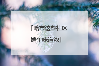 哈市这些社区端午味道浓