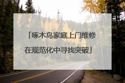 啄木鸟家庭上门维修在规范化中寻找突破