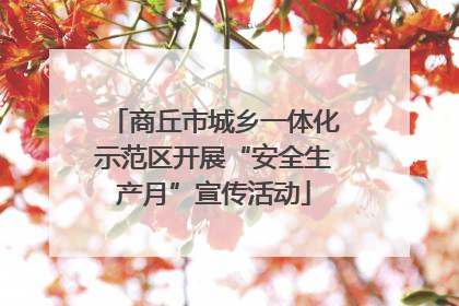 商丘市城乡一体化示范区开展“安全生产月”宣传活动