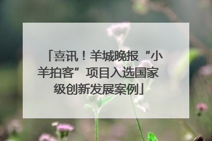 喜讯！羊城晚报“小羊拍客”项目入选国家级创新发展案例