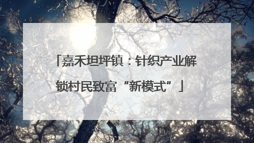 嘉禾坦坪镇：针织产业解锁村民致富“新模式”