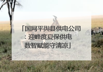 国网平舆县供电公司：迎峰度夏保供电  数智赋能守清凉