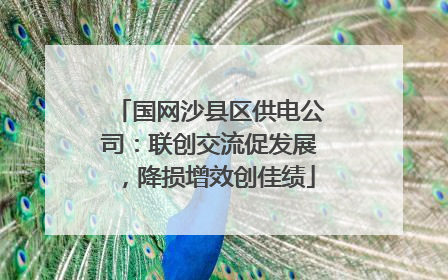国网沙县区供电公司：联创交流促发展，降损增效创佳绩