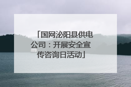 国网泌阳县供电公司：开展安全宣传咨询日活动
