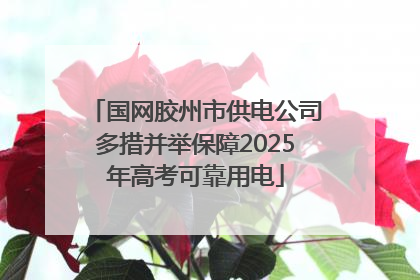 国网胶州市供电公司多措并举保障2025年高考可靠用电