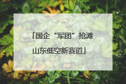 国企“军团”抢滩山东低空新赛道