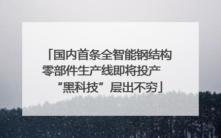 国内首条全智能钢结构零部件生产线即将投产 “黑科技”层出不穷
