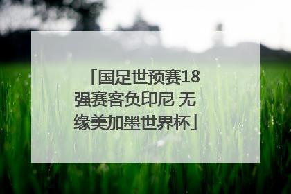 国足世预赛18强赛客负印尼 无缘美加墨世界杯