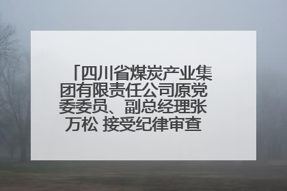四川省煤炭产业集团有限责任公司原党委委员、副总经理张万松 接受纪律审查和监察调查