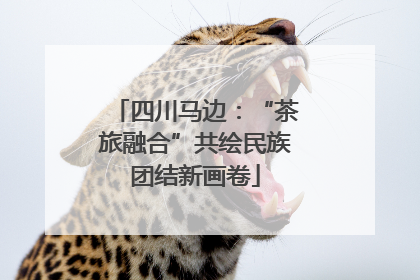 四川马边：“茶旅融合”共绘民族团结新画卷
