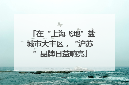 在“上海飞地”盐城市大丰区，“沪苏”品牌日益响亮