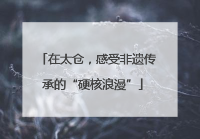 在太仓，感受非遗传承的“硬核浪漫”