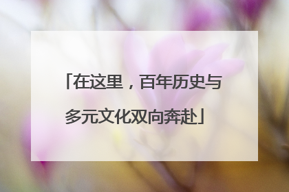 在这里，百年历史与多元文化双向奔赴