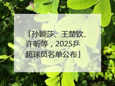 孙颖莎、王楚钦、许昕等，2025乒超球员名单公布