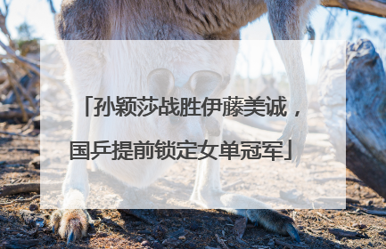 孙颖莎战胜伊藤美诚，国乒提前锁定女单冠军