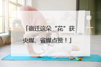 宿迁这朵“花”获央媒、省媒点赞！