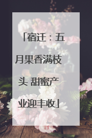 宿迁：五月果香满枝头 甜蜜产业迎丰收