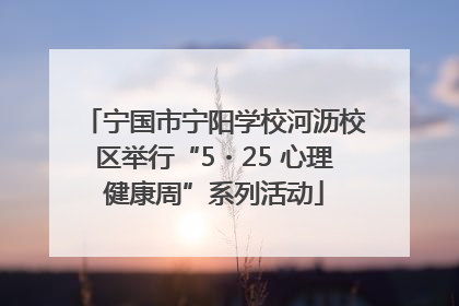 宁国市宁阳学校河沥校区举行“5・25 心理健康周”系列活动