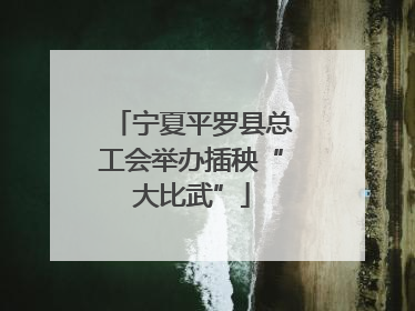 宁夏平罗县总工会举办插秧“大比武”
