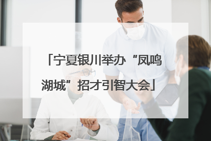 宁夏银川举办“凤鸣湖城”招才引智大会