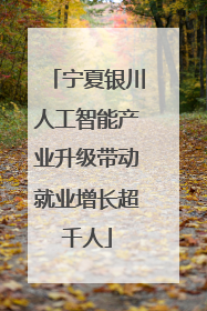 宁夏银川人工智能产业升级带动就业增长超千人