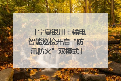 宁夏银川：输电智能巡检开启“防汛防火”双模式