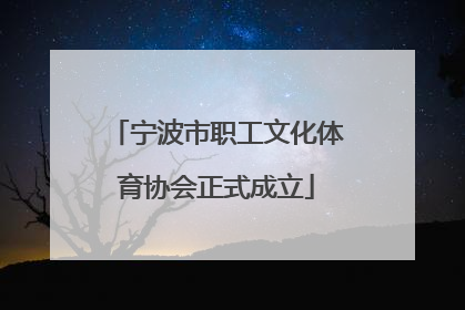 宁波市职工文化体育协会正式成立