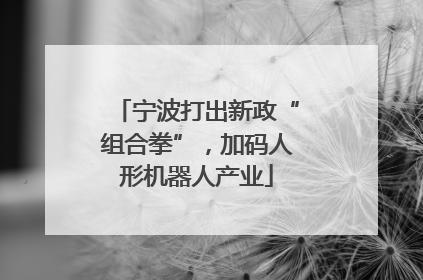 宁波打出新政“组合拳”，加码人形机器人产业