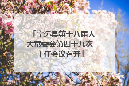 宁远县第十八届人大常委会第四十九次主任会议召开