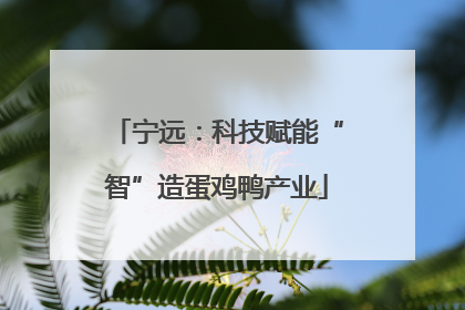 宁远：科技赋能“智”造蛋鸡鸭产业