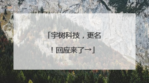 宇树科技，更名！回应来了→