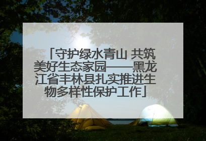 守护绿水青山 共筑美好生态家园——黑龙江省丰林县扎实推进生物多样性保护工作
