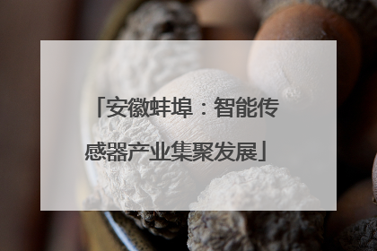 安徽蚌埠：智能传感器产业集聚发展