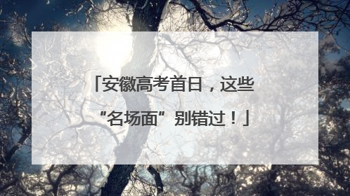 安徽高考首日，这些“名场面”别错过！