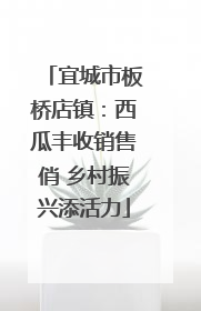 宜城市板桥店镇：西瓜丰收销售俏 乡村振兴添活力