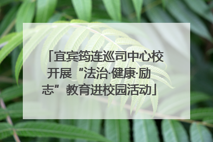 宜宾筠连巡司中心校开展“法治·健康·励志”教育进校园活动